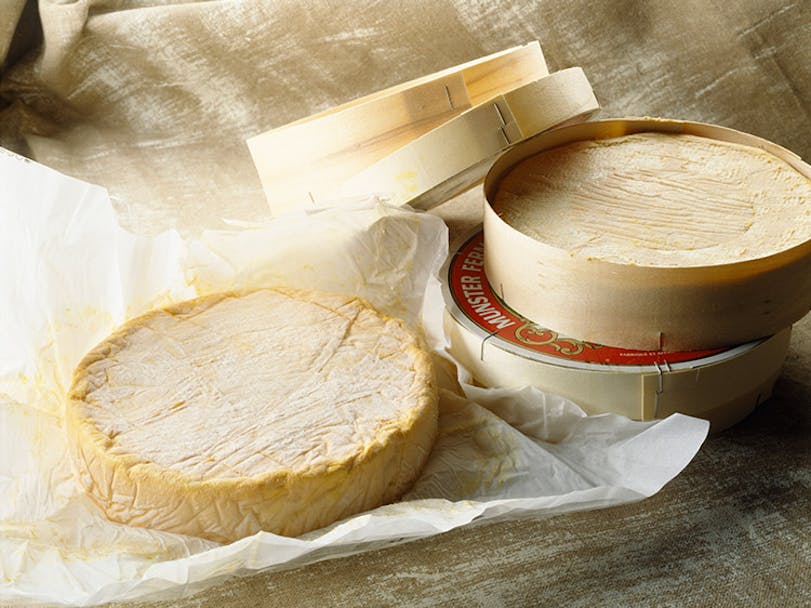 Orange-coloured round cheese on grease-proof paper